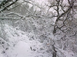 tn_06022012151-1