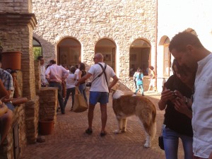 20150712_173241