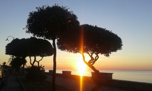 Foto di Antonio Veneziano