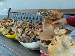 IMG-20151128-WA0000