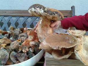IMG-20151128-WA0001
