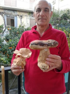 Tonino Veneziano