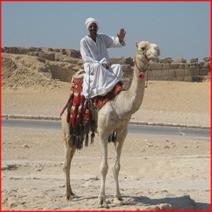 beduino sul cammello