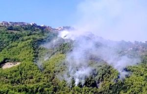 Incendio-di-Albidona-contrada-Cafaro