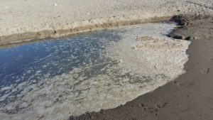 IMG-20160806-WA0004