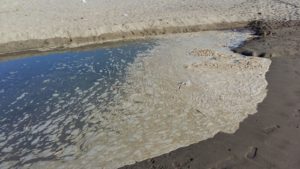 IMG-20160806-WA0007