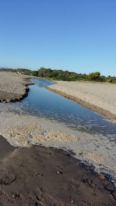 IMG-20160806-WA0008